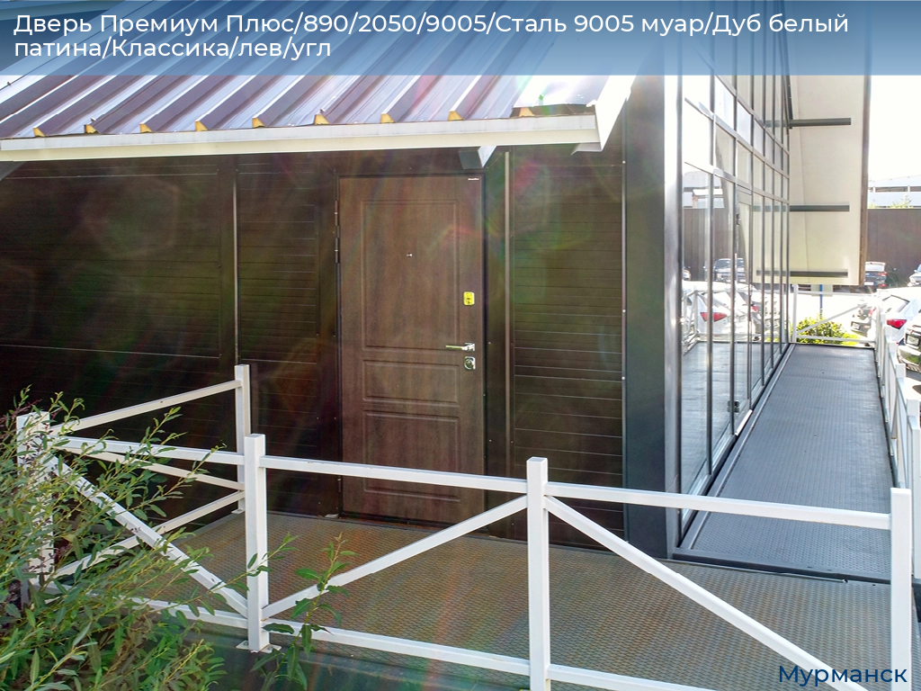 Дверь Премиум Плюс/890/2050/9005/Сталь 9005 муар/Дуб белый патина/Классика/лев/угл, murmansk.doorhan.ru