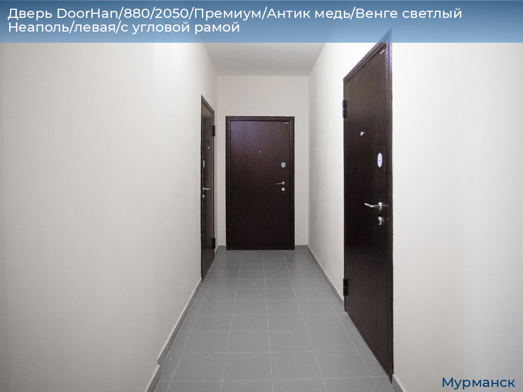 Дверь DoorHan/880/2050/Премиум/Антик медь/Венге светлый Неаполь/левая/с угловой рамой, murmansk.doorhan.ru