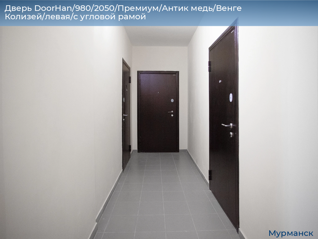 Дверь DoorHan/980/2050/Премиум/Антик медь/Венге Колизей/левая/с угловой рамой, murmansk.doorhan.ru