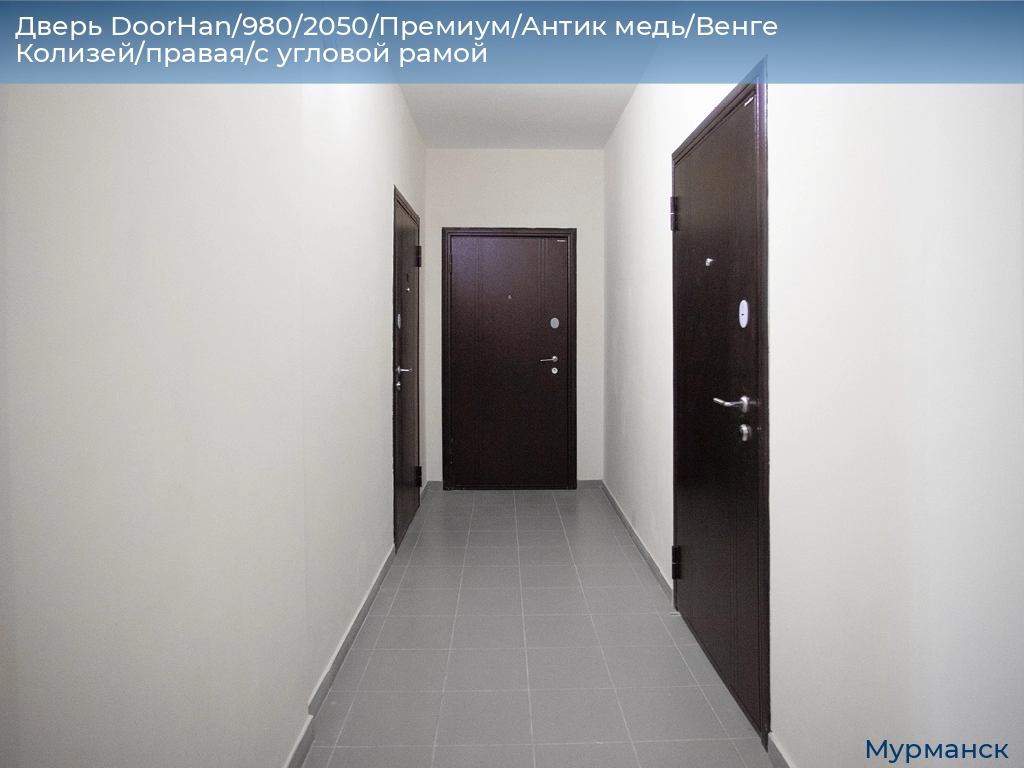 Дверь DoorHan/980/2050/Премиум/Антик медь/Венге Колизей/правая/с угловой рамой, murmansk.doorhan.ru