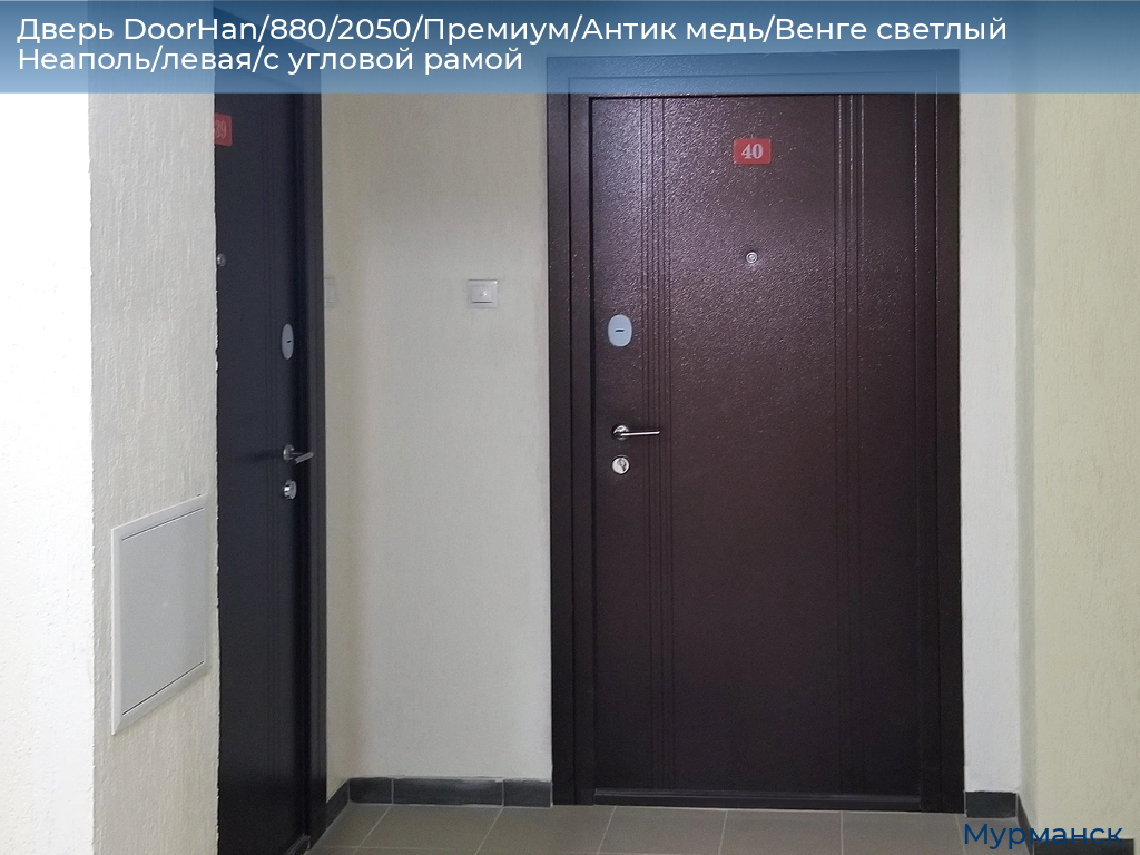 Дверь DoorHan/880/2050/Премиум/Антик медь/Венге светлый Неаполь/левая/с угловой рамой, murmansk.doorhan.ru
