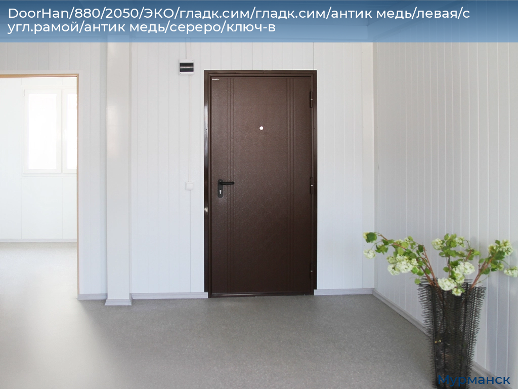 DoorHan/880/2050/ЭКО/гладк.сим/гладк.сим/антик медь/левая/с угл.рамой/антик медь/сереро/ключ-в, murmansk.doorhan.ru