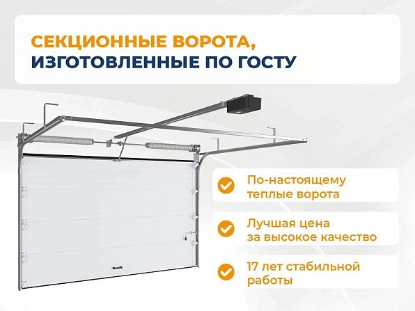 Секционные ворота 2500х2300 мм коричнево-красные DoorHan RSD02, murmansk.doorhan.ru
